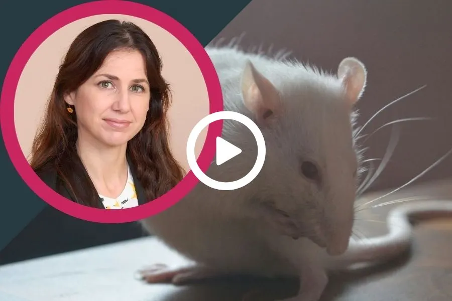 A picture of a woman next to a picture of a mouse.